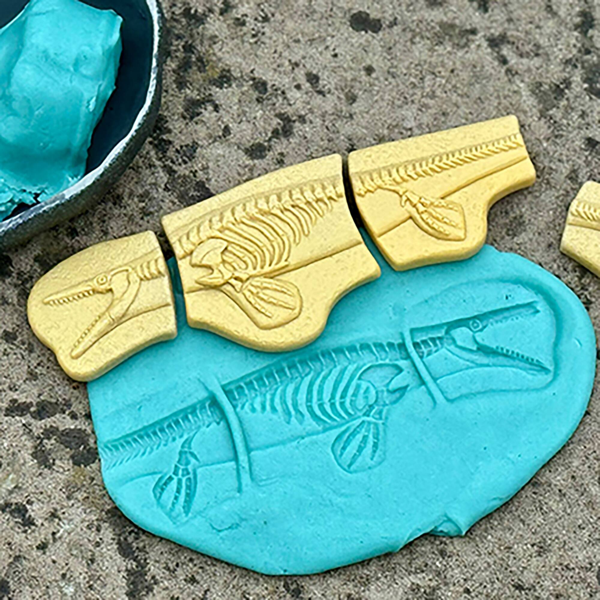 Yellow Door Dig & Discover Pliosaur & Stegosaurus Dinosaur Skeletons Set